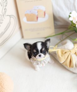 Cute Chihuahua Puppy Near Me