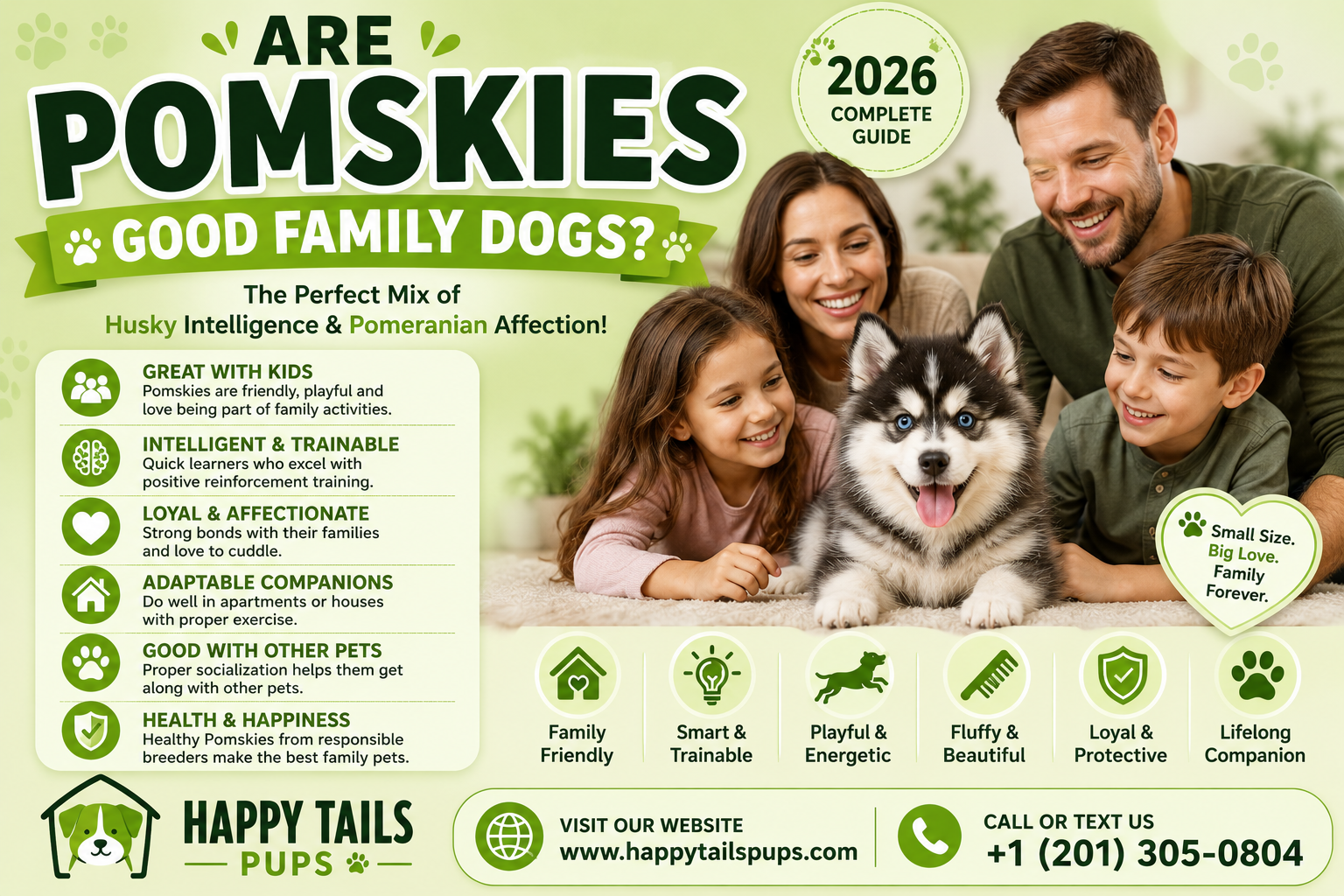 Are Pomskies Good Family Dogs?