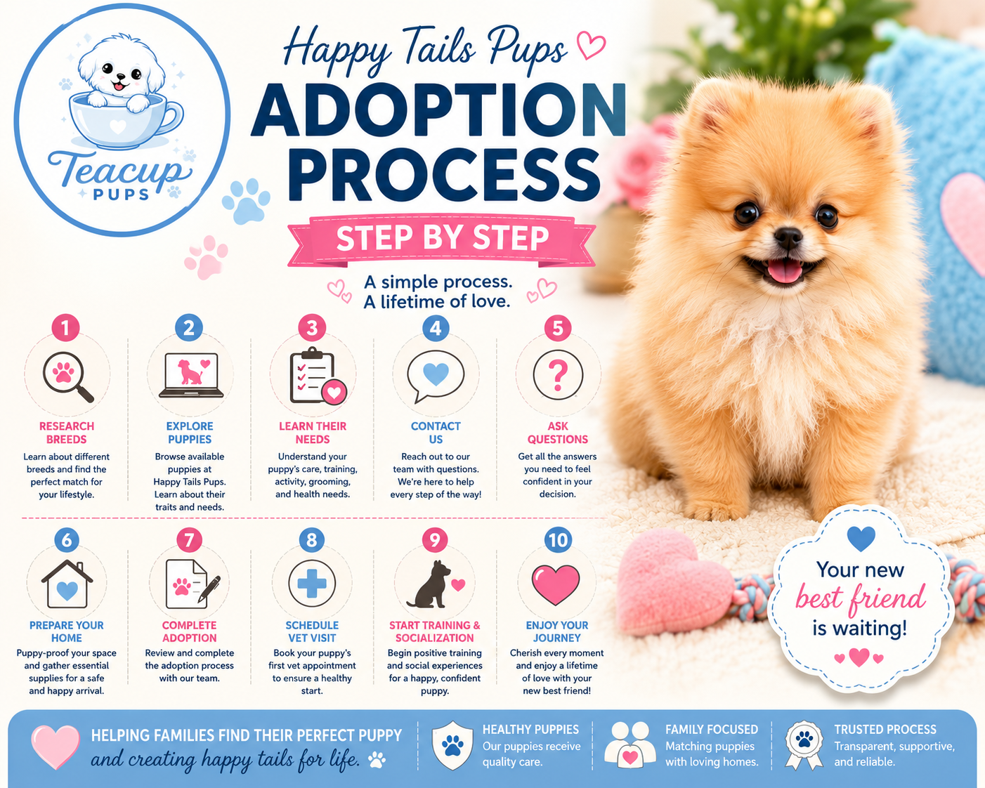 Puppy Adoption Process: A Step-by-Step Guide for New Families