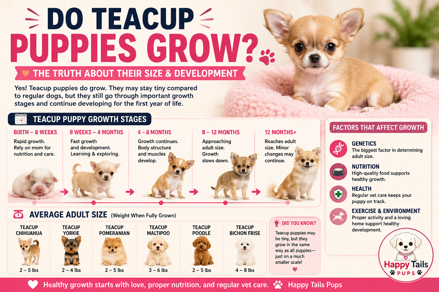 Do Teacup Puppies Grow?